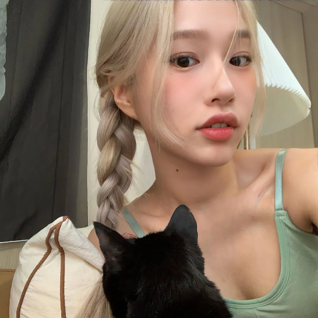 碧窗艳影